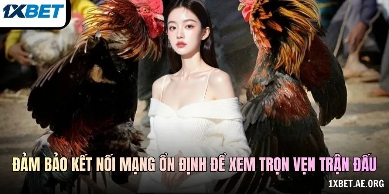 Đảm bảo kết nối mạng ổn định để xem trọn vẹn trận đấu