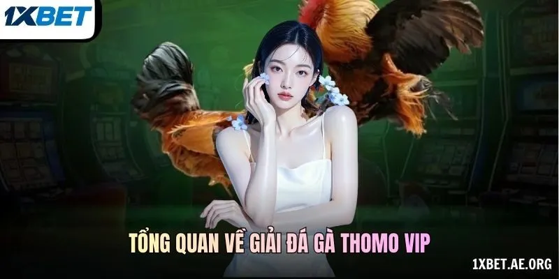 Tổng quan về giải Đá gà Thomo VIP