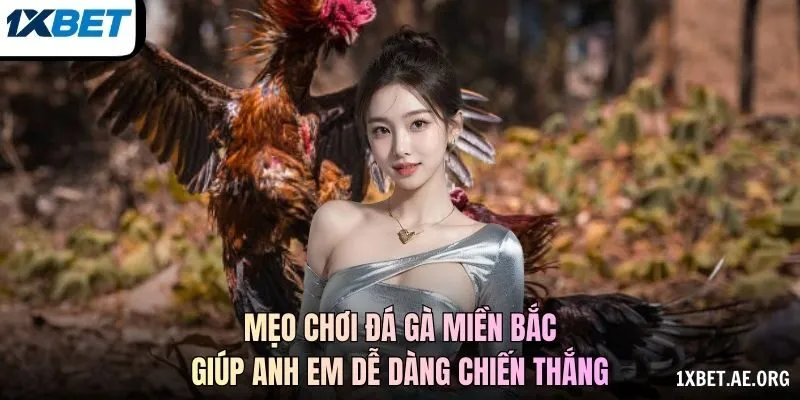 Mẹo chơi đá gà miền Bắc giúp anh em dễ dàng chiến thắng
